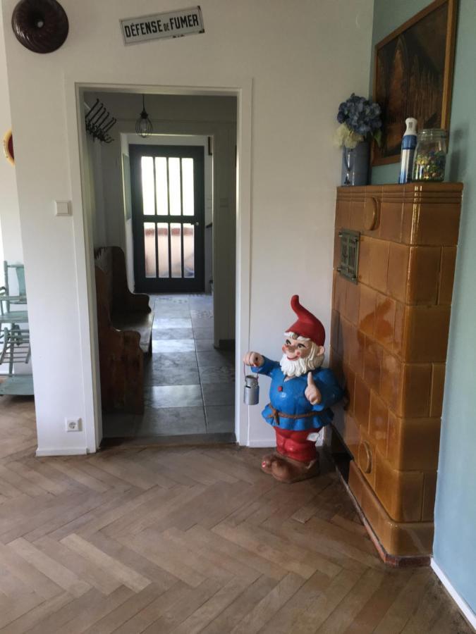 科尔马Chalet Montsegur别墅 外观 照片